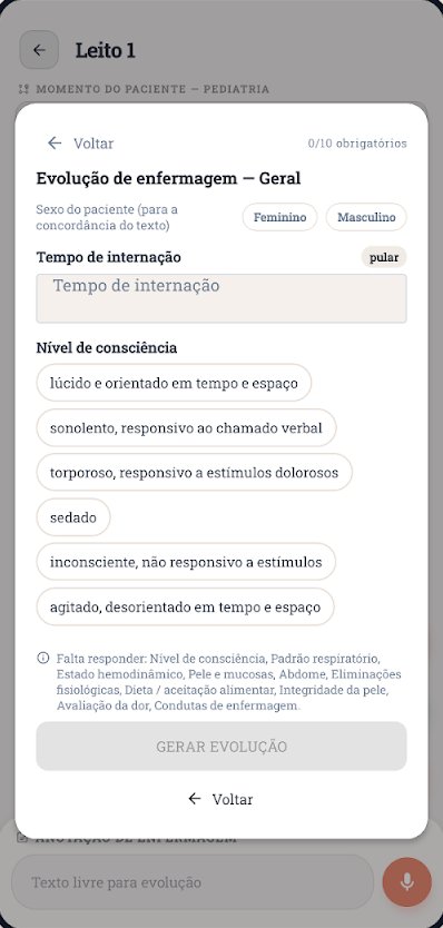 Tela do RI-ENF com a evolução de enfermagem guiada